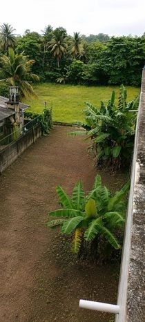 9 Perch Corner Land with Paddy Field View Kirillawala