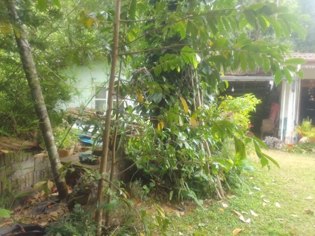 Land for Sale in Balangoda