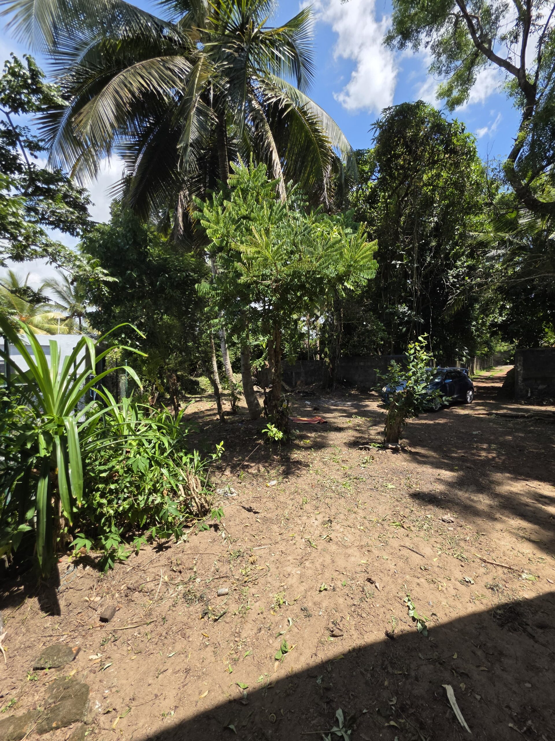 Spacious 32 Perch Land with House for Sale Yakkala