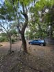 Spacious 32 Perch Land with House for Sale Yakkala