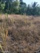 Land For Sale In Monaragala