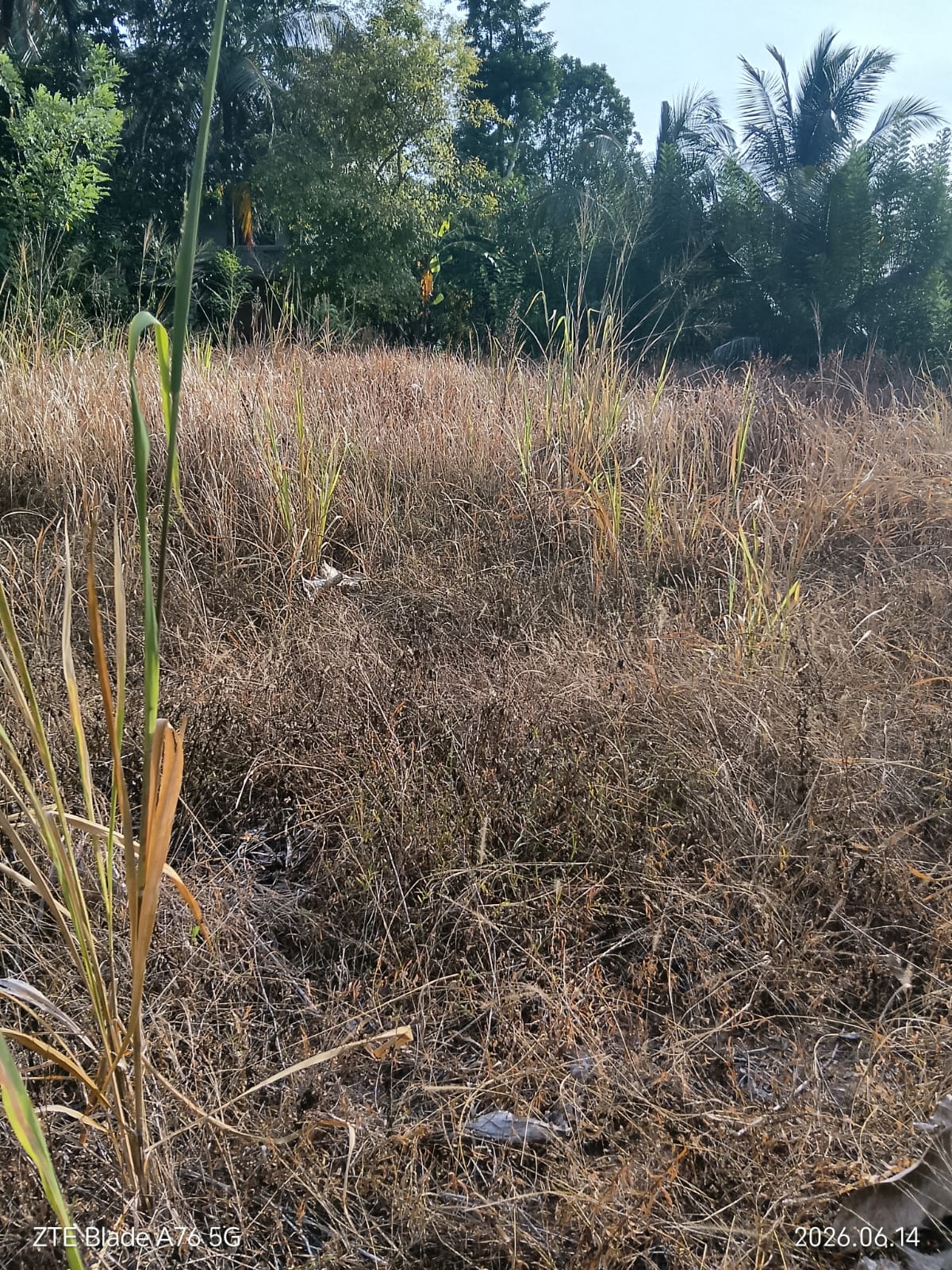 Land For Sale In Monaragala