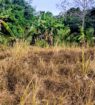 Land For Sale In Monaragala
