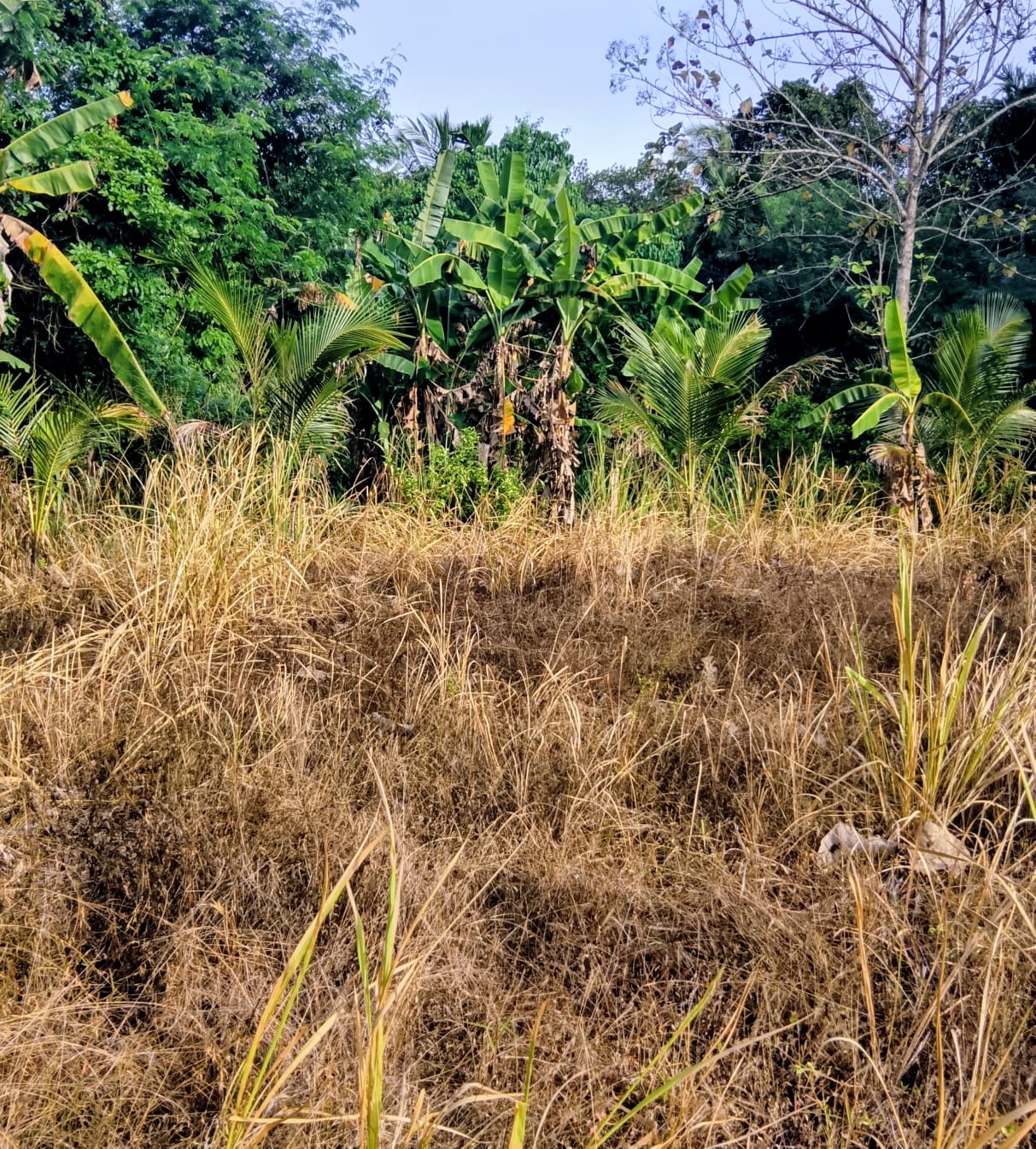 Land For Sale In Monaragala