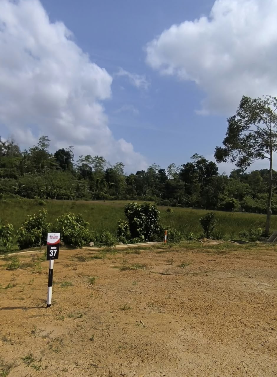 Land For Sale – Baddegama