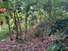 Land for Sale Aruggoda Panadura