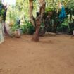 House for Sale – Pallewala Galewala