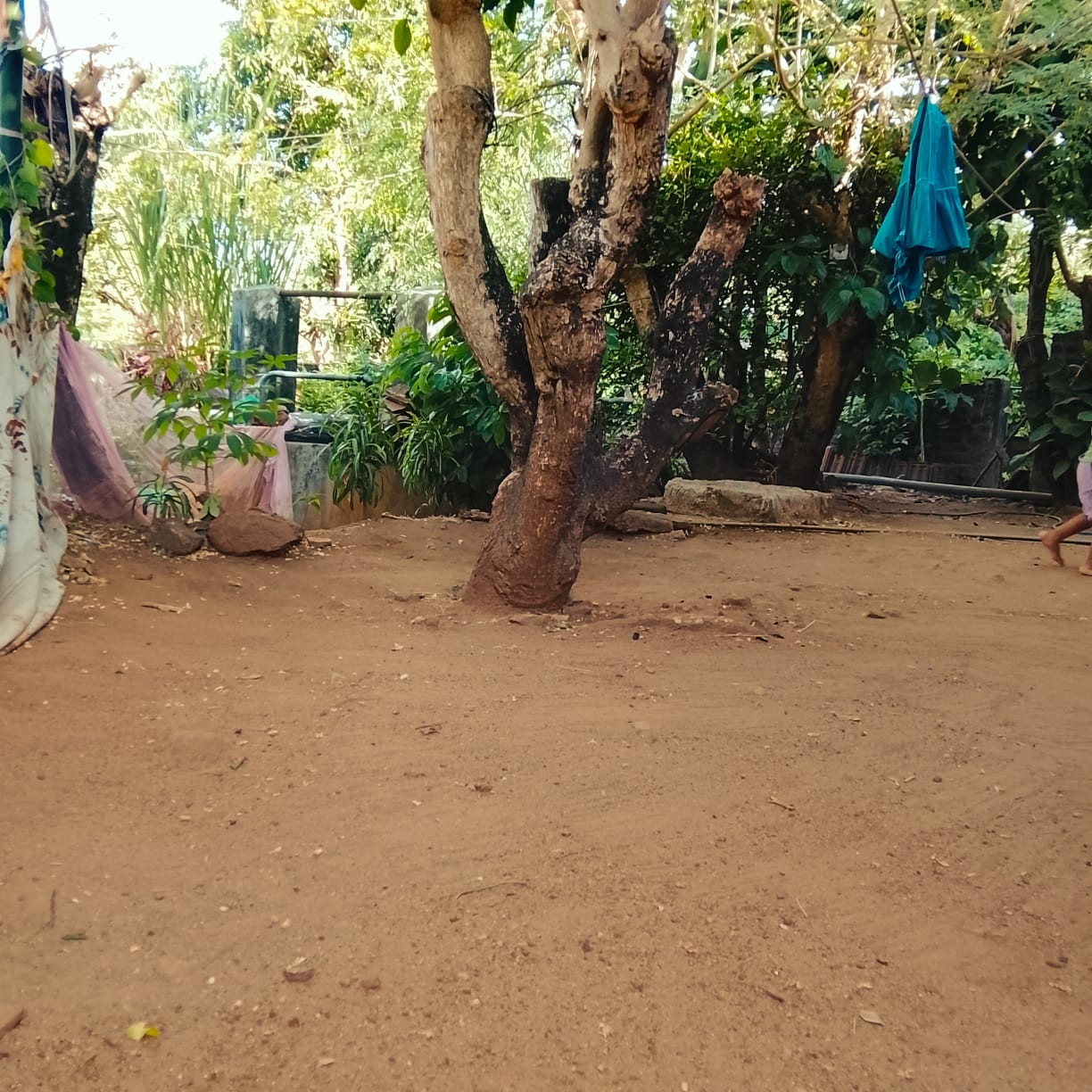 House for Sale – Pallewala Galewala