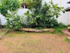 අතුරුගිරිය – රුක්මල්ගම ප්‍රදේශයේ පර්චස් 12ක ඉඩමක් සහ නිවසක් විකිණීමට ඇත