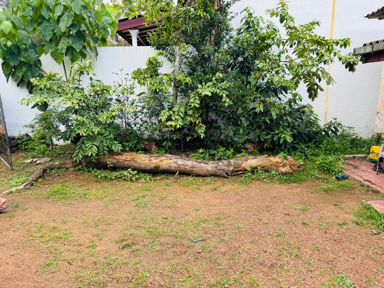 අතුරුගිරිය – රුක්මල්ගම ප්‍රදේශයේ පර්චස් 12ක ඉඩමක් සහ නිවසක් විකිණීමට ඇත