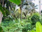 Land for Sale in Ahangama Imaduwa Main Road