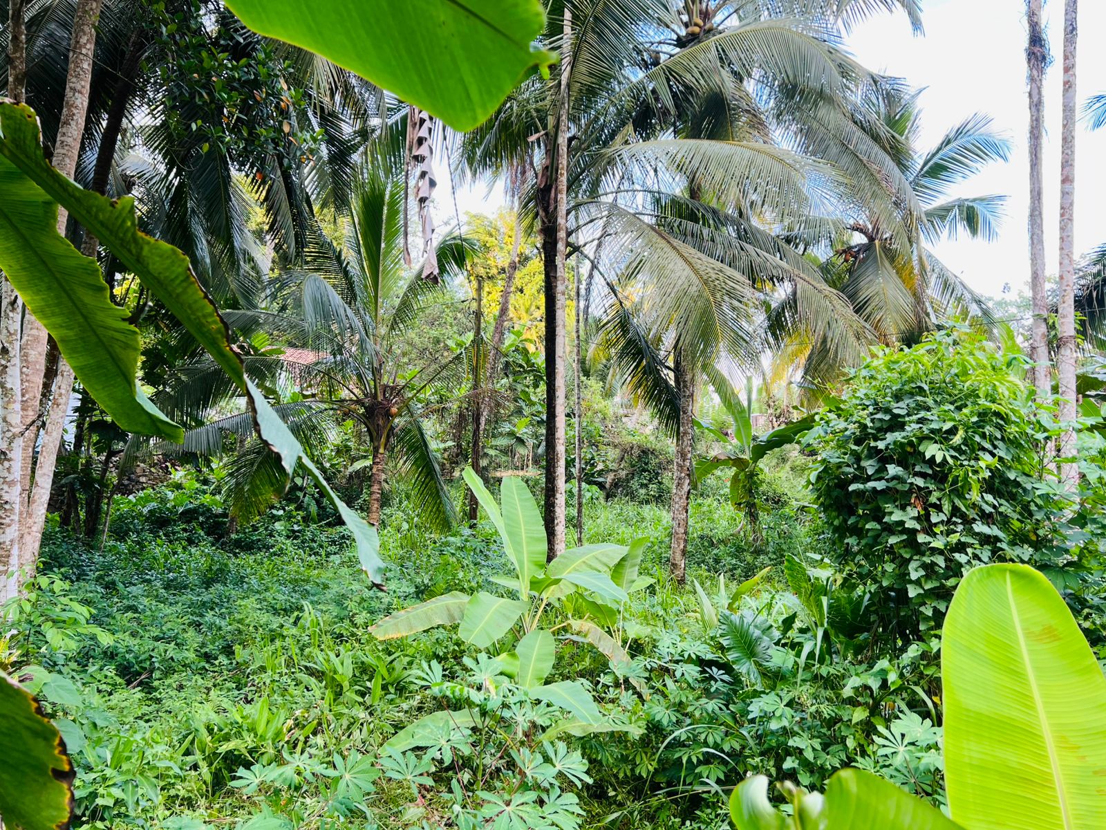 Land for Sale in Ahangama Imaduwa Main Road
