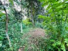 Land for Sale in Ahangama Imaduwa Main Road