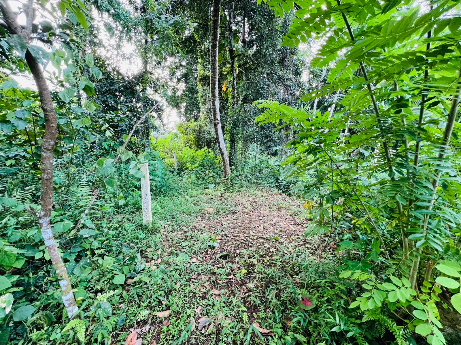 Land for Sale in Ahangama Imaduwa Main Road