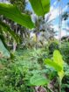 Land for Sale in Ahangama Imaduwa Main Road