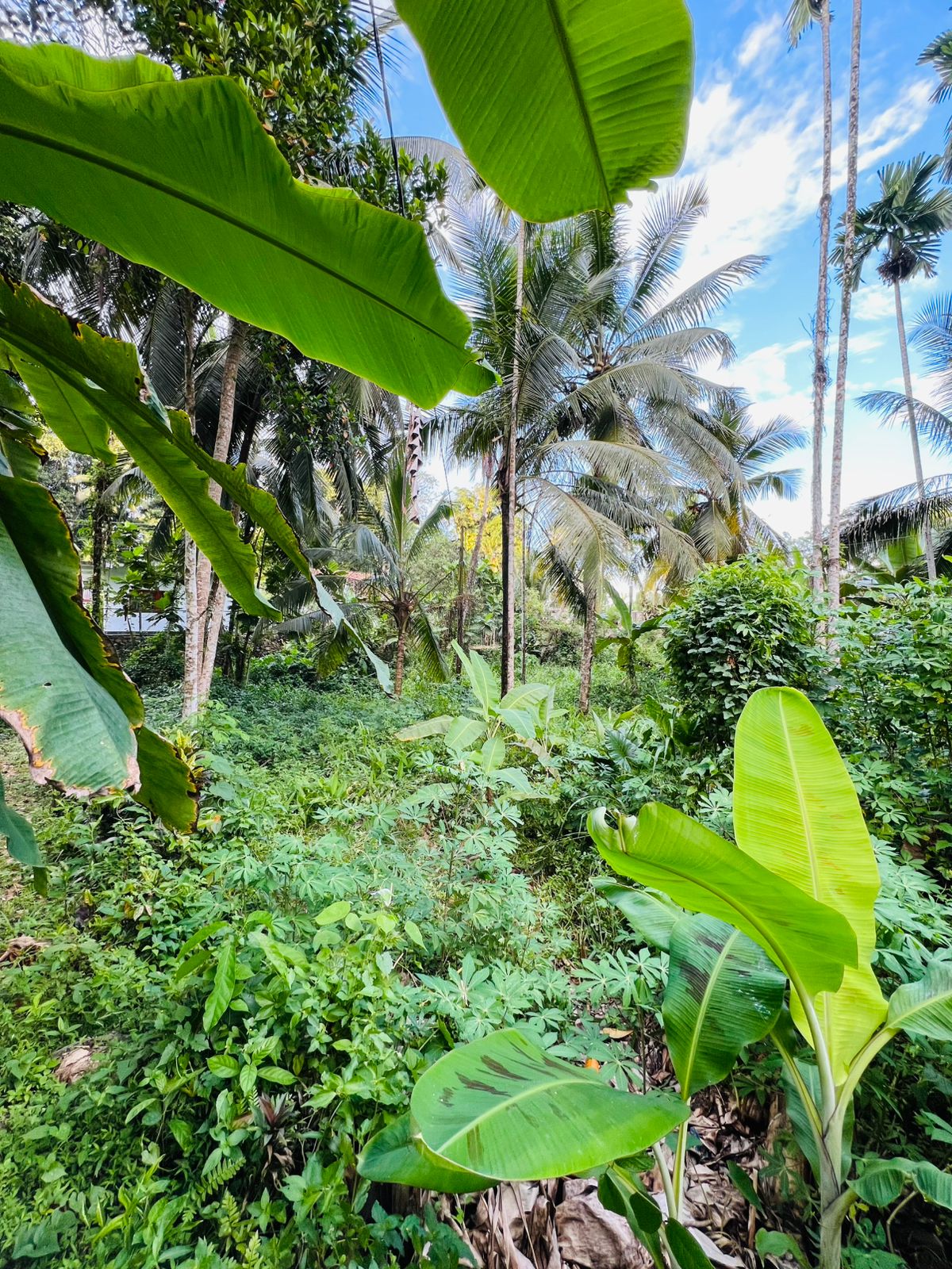 Land for Sale in Ahangama Imaduwa Main Road