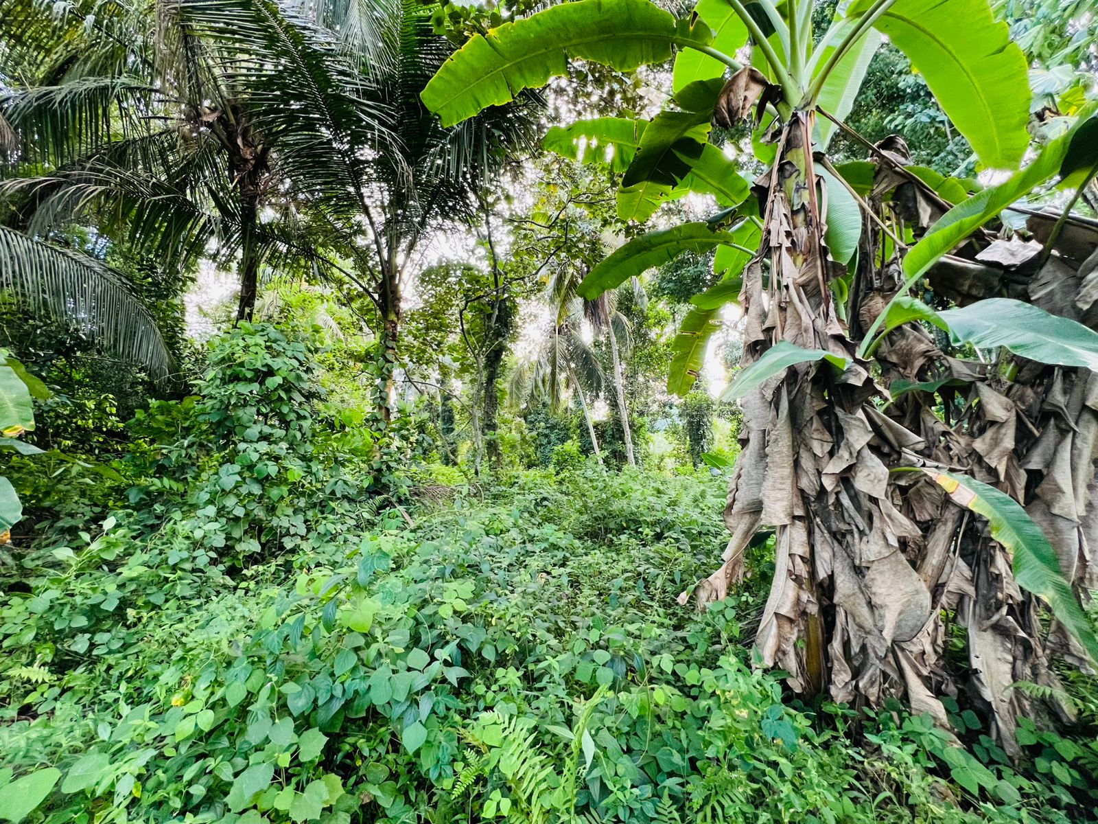 Land for Sale in Ahangama Imaduwa Main Road