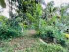 Land for Sale in Ahangama Imaduwa Main Road