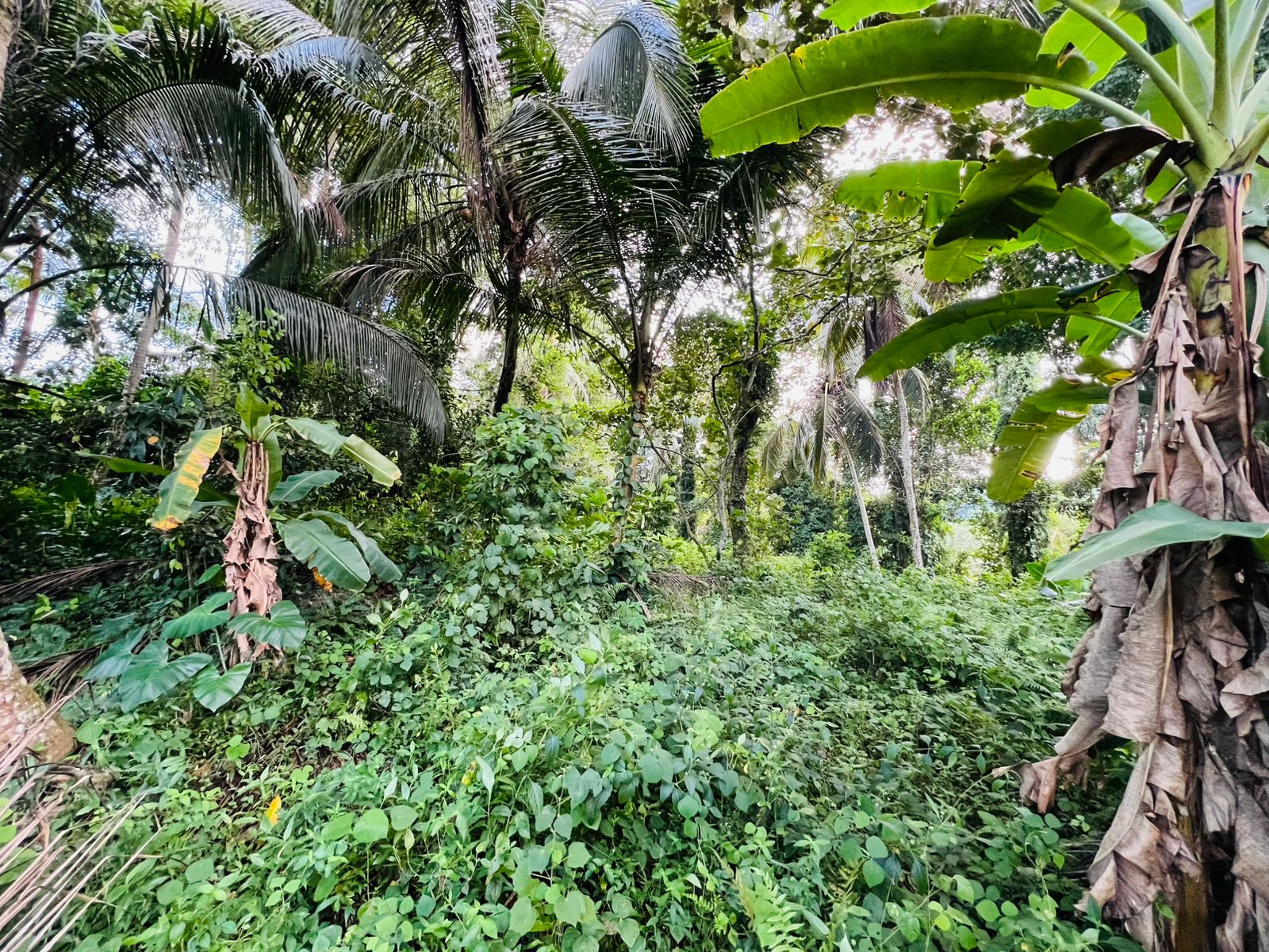 Land for Sale in Ahangama Imaduwa Main Road