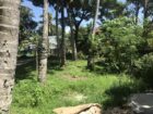 Land for Sale in Matara