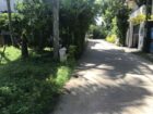 Land for Sale in Matara