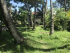 Land for Sale in Matara