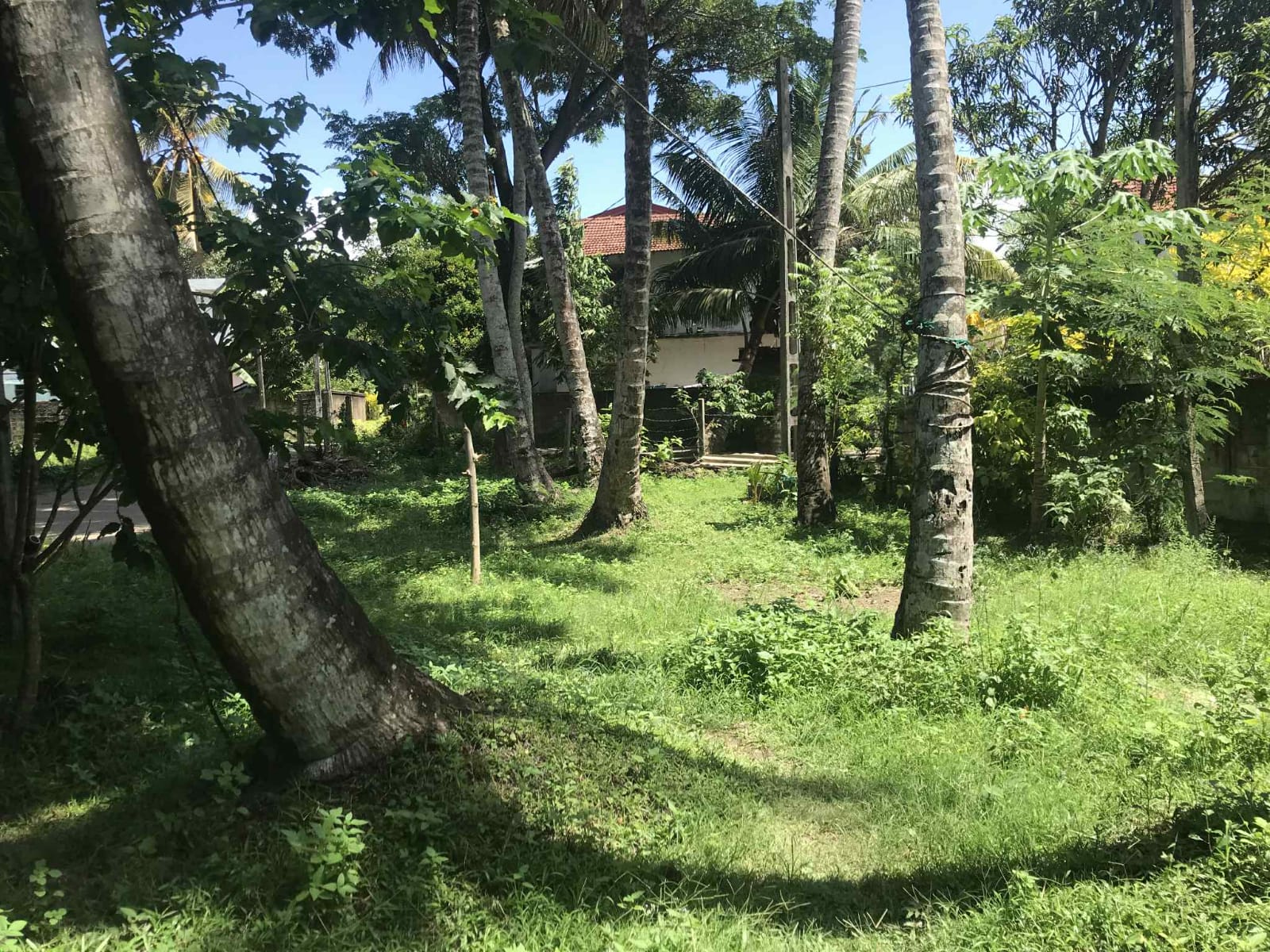 Land for Sale in Matara