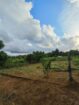 කොළඹ දිස්ත්‍රික්කයෙන් වටිනා ඉඩමක් ඉක්මනින් විකිණීමට (Meepe)