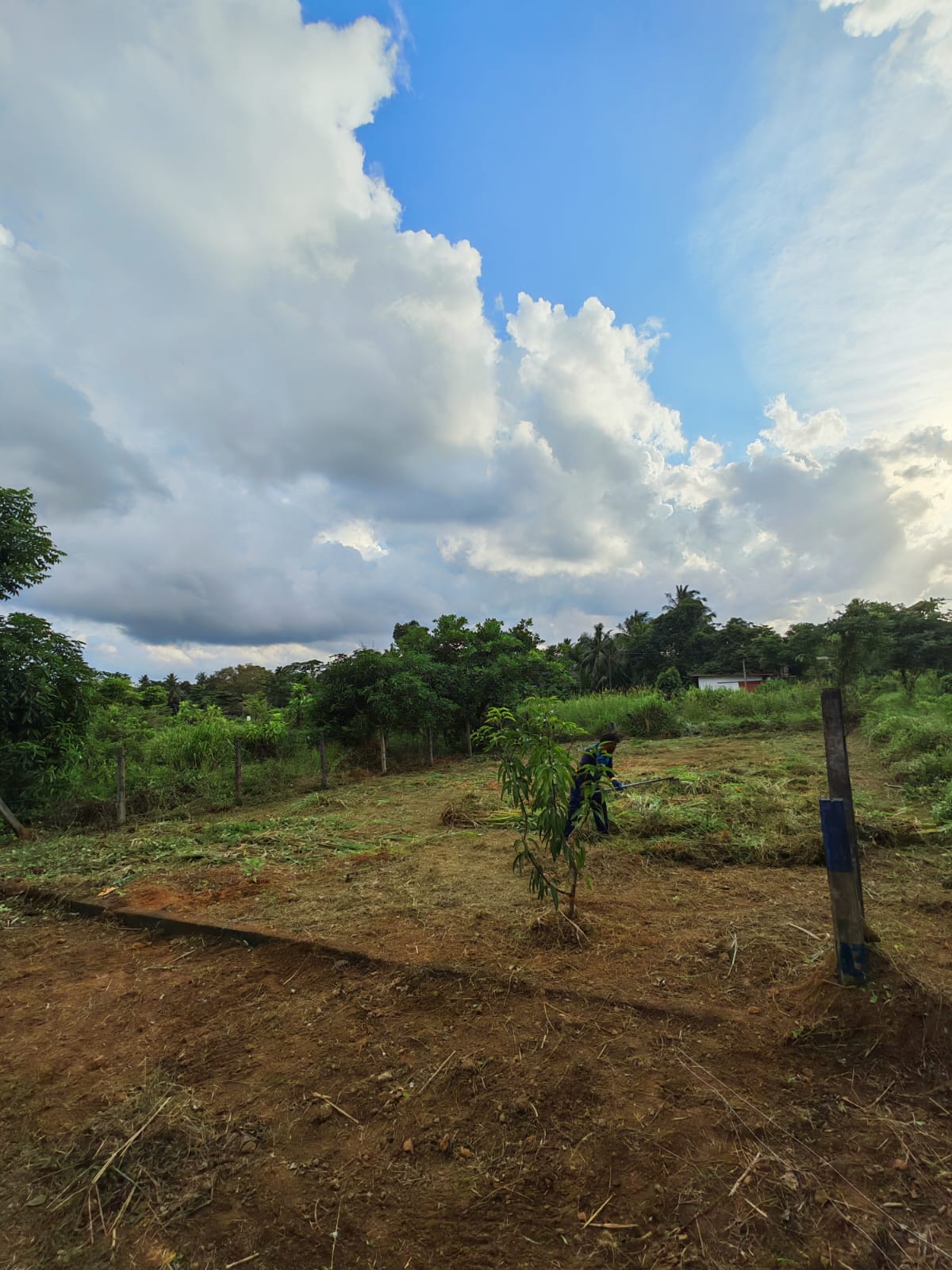 කොළඹ දිස්ත්‍රික්කයෙන් වටිනා ඉඩමක් ඉක්මනින් විකිණීමට (Meepe)