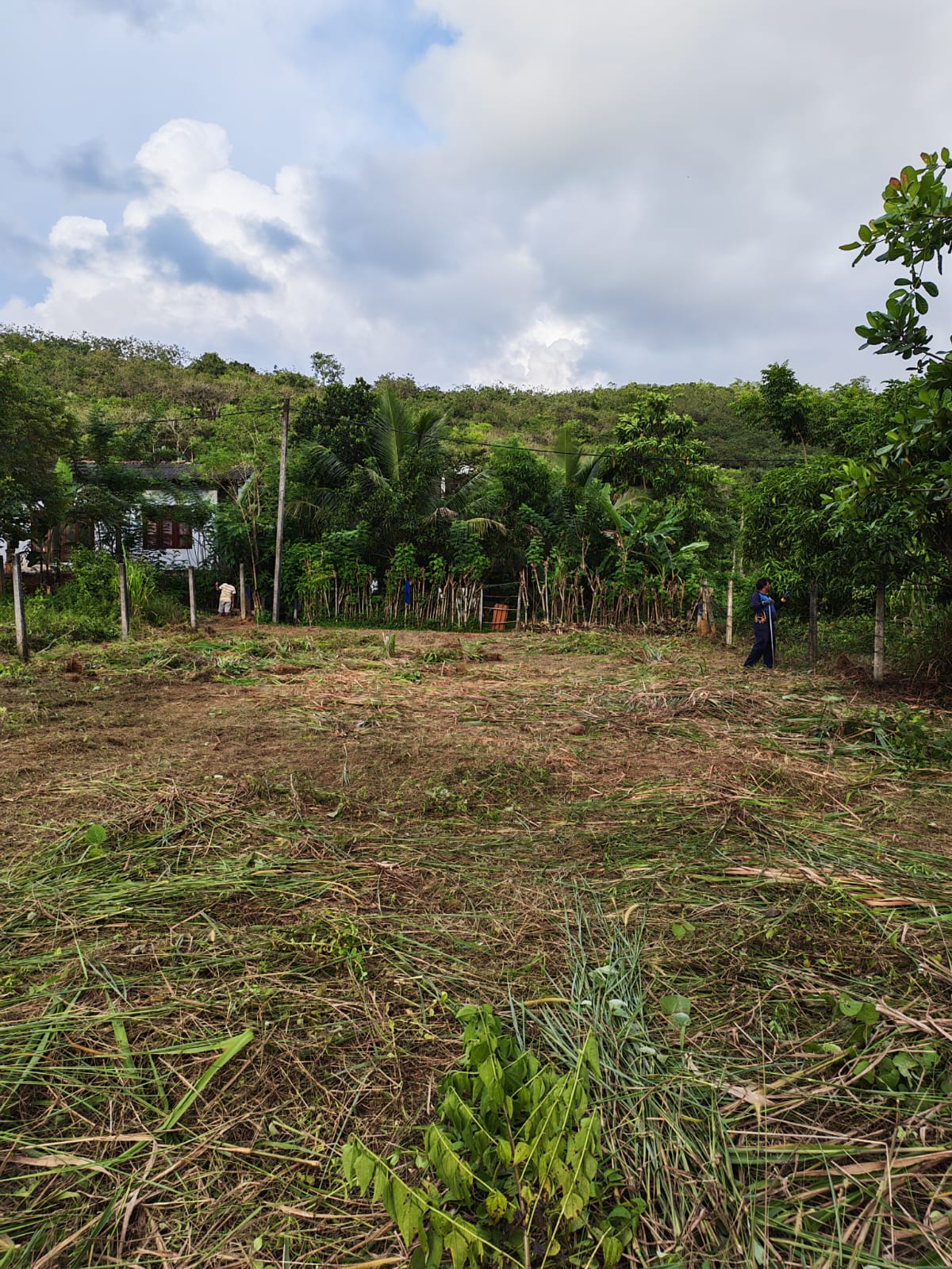 කොළඹ දිස්ත්‍රික්කයෙන් වටිනා ඉඩමක් ඉක්මනින් විකිණීමට (Meepe)