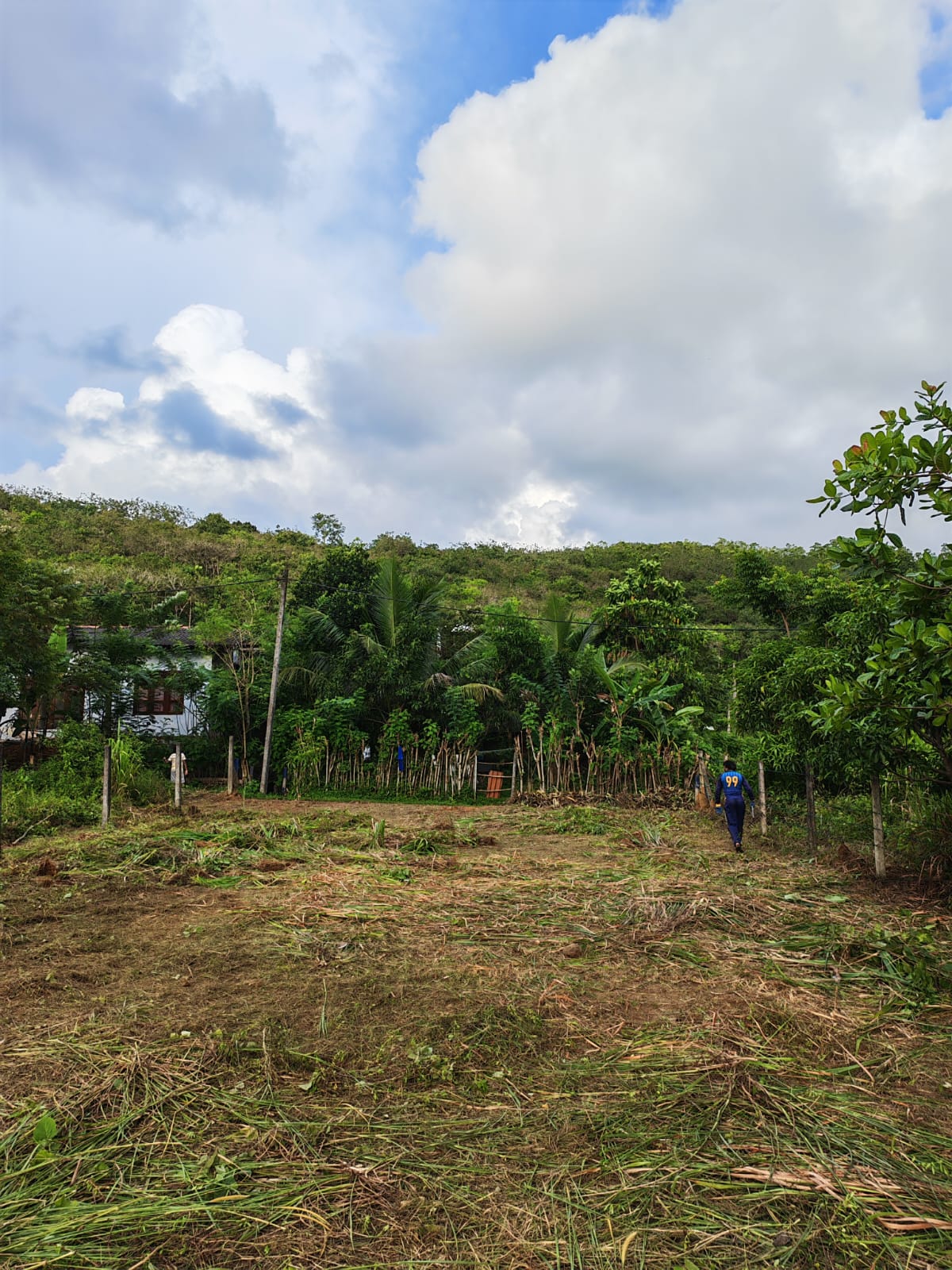 කොළඹ දිස්ත්‍රික්කයෙන් වටිනා ඉඩමක් ඉක්මනින් විකිණීමට (Meepe)