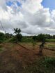 කොළඹ දිස්ත්‍රික්කයෙන් වටිනා ඉඩමක් ඉක්මනින් විකිණීමට (Meepe)