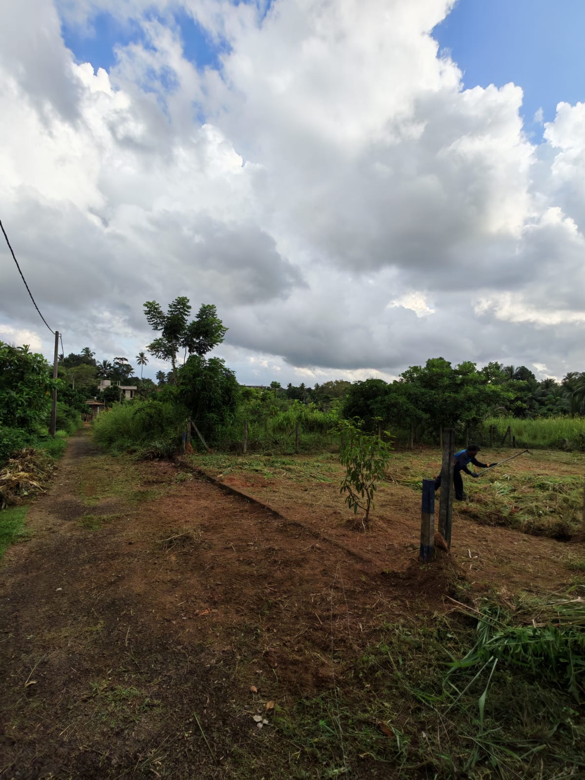 කොළඹ දිස්ත්‍රික්කයෙන් වටිනා ඉඩමක් ඉක්මනින් විකිණීමට (Meepe)
