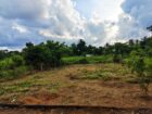 කොළඹ දිස්ත්‍රික්කයෙන් වටිනා ඉඩමක් ඉක්මනින් විකිණීමට (Meepe)