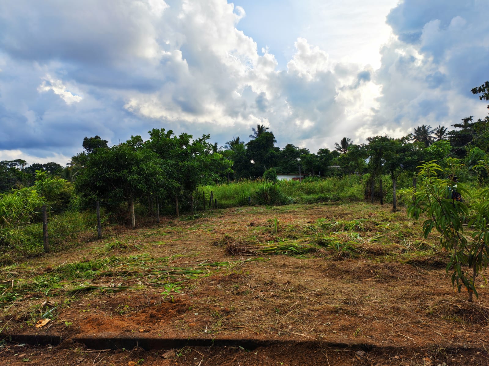 කොළඹ දිස්ත්‍රික්කයෙන් වටිනා ඉඩමක් ඉක්මනින් විකිණීමට (Meepe)