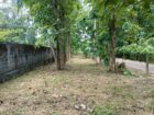 කඳවලින් ඉඩමක් විකිණීමට Land For Sale In Kandawala