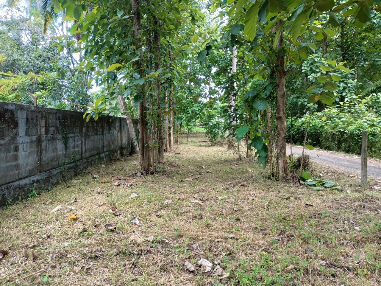 කඳවලින් ඉඩමක් විකිණීමට Land For Sale In Kandawala