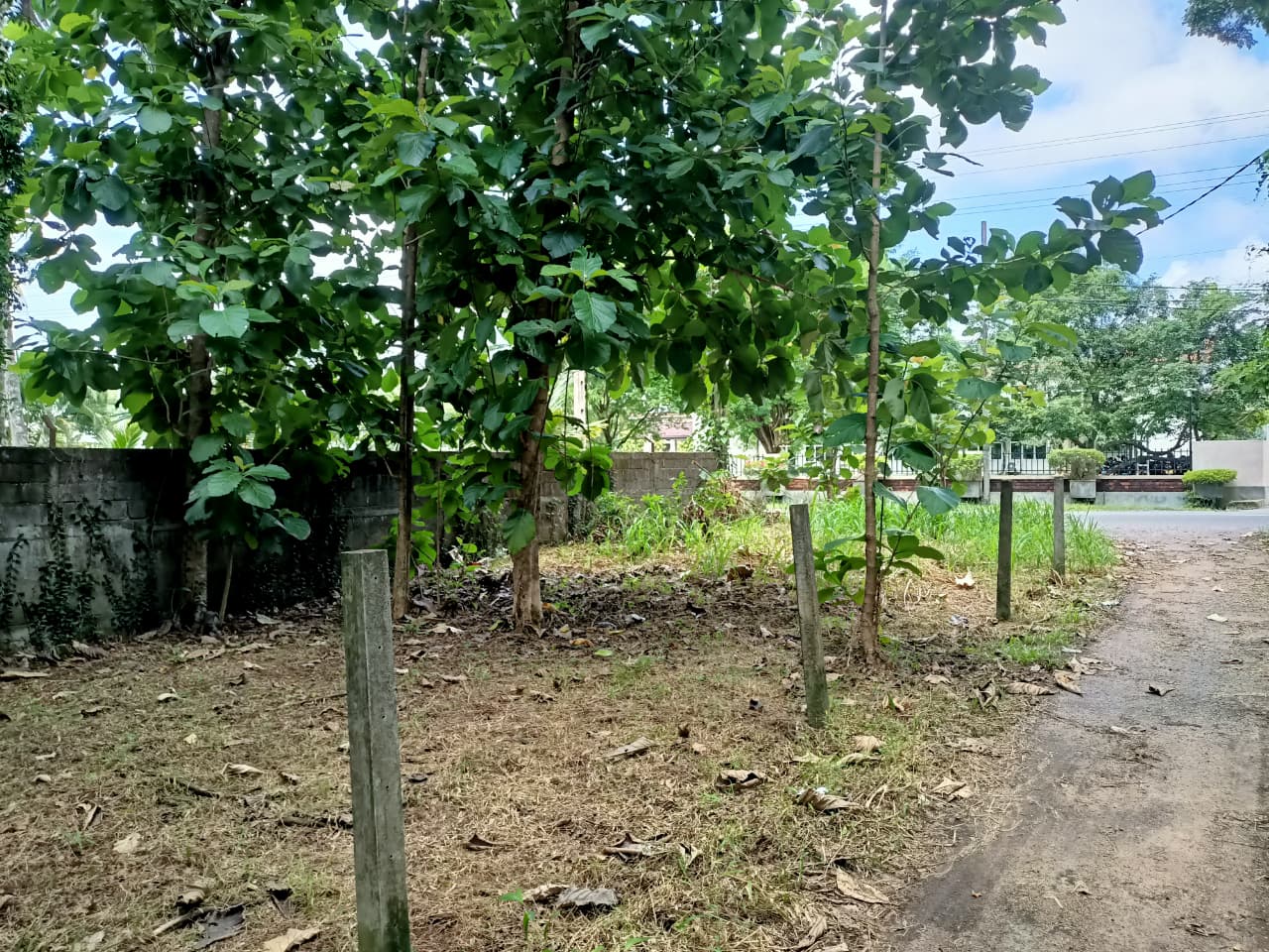 කඳවලින් ඉඩමක් විකිණීමට Land For Sale In Kandawala