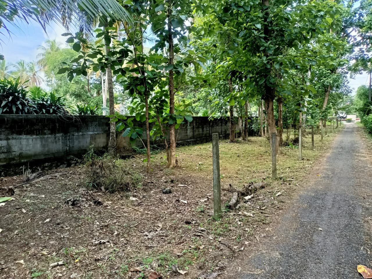 කඳවලින් ඉඩමක් විකිණීමට Land For Sale In Kandawala