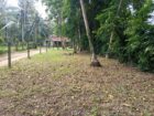 කඳවලින් ඉඩමක් විකිණීමට Land For Sale In Kandawala