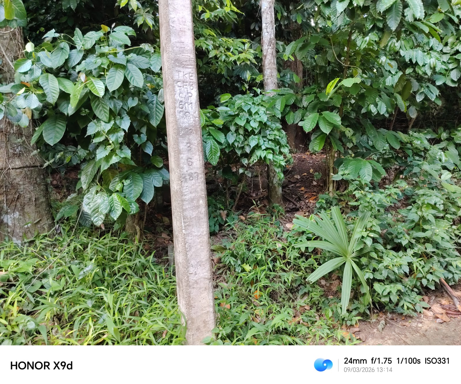 Land for Sale in Gannoruwa