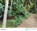 Land for Sale in Gannoruwa