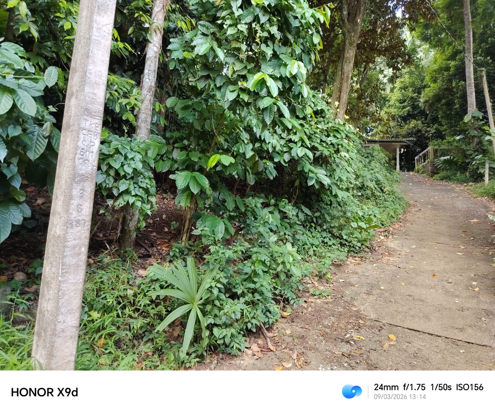 Land for Sale in Gannoruwa
