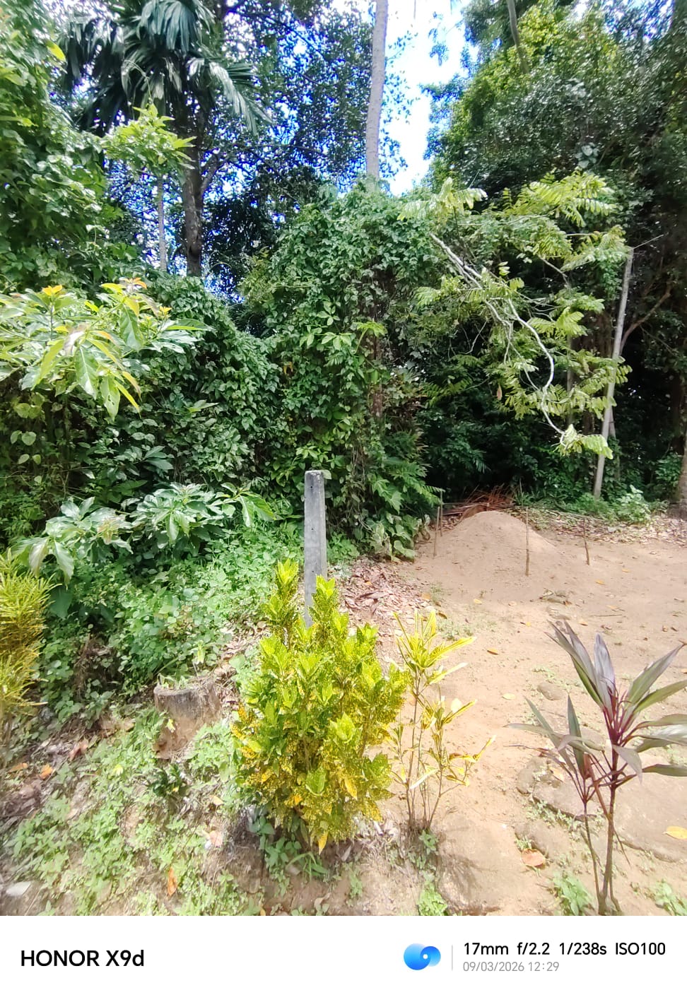 Land for Sale in Gannoruwa