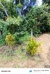 Land for Sale in Gannoruwa