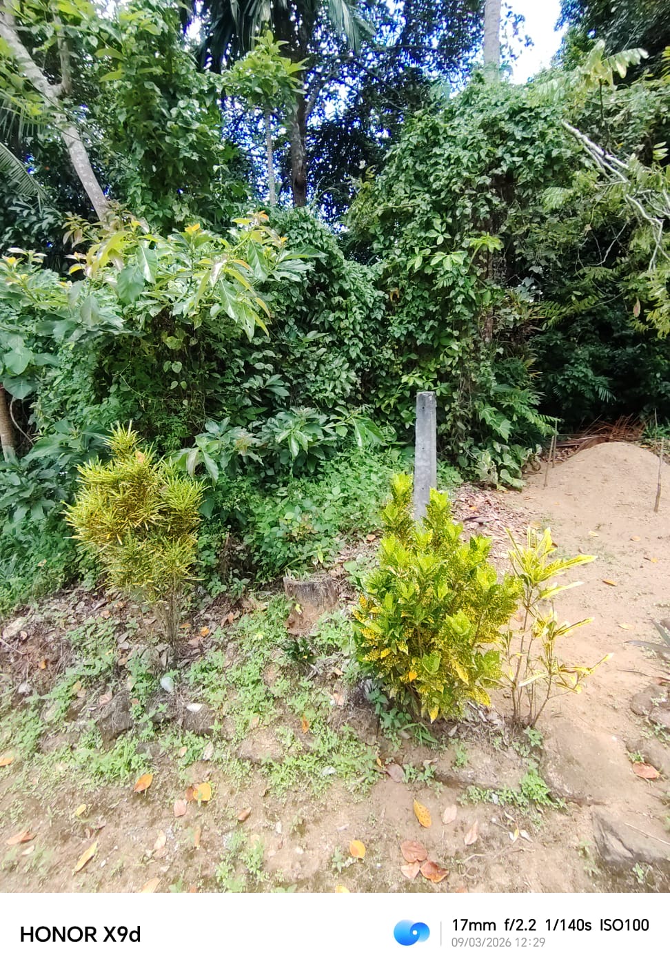 Land for Sale in Gannoruwa