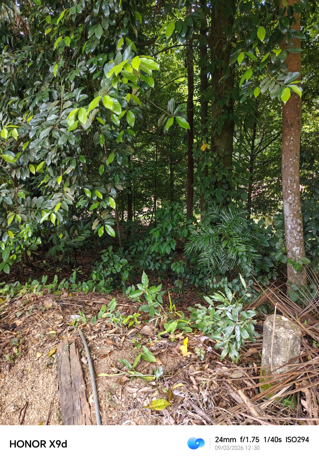 Land for Sale in Gannoruwa