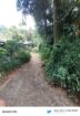 Land for Sale in Gannoruwa