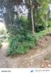 Land for Sale in Gannoruwa