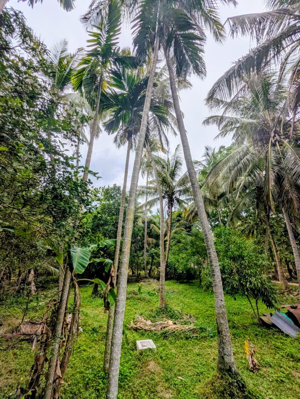 අගනා ඉඩමක් සමග නිවස විකිණීමට